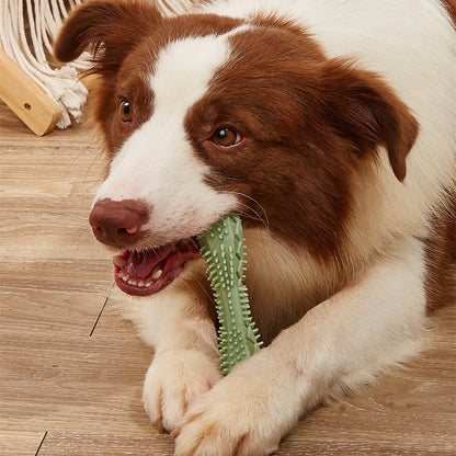 Dog teeth-cleaning toy