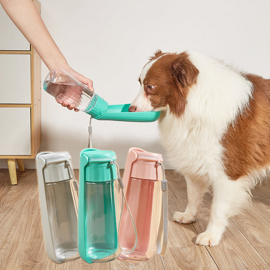 Carry-along Portable Water Bottle, for Dogs